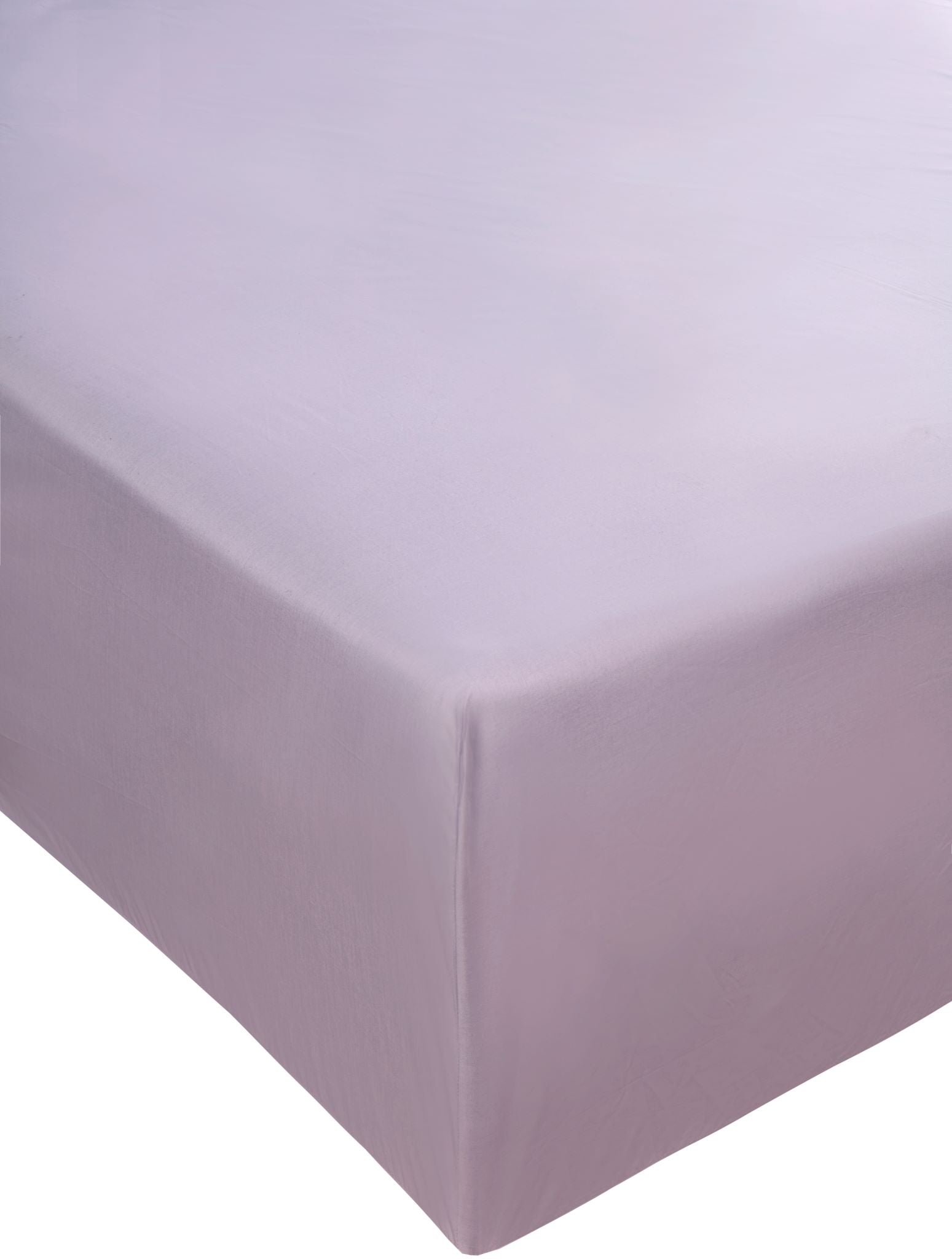 Lavender Grey Peracle